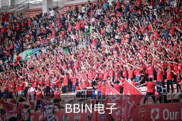 BBIN电子公司介绍图